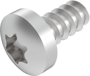 Linsenkopf-Blechschraube Form F mit Torx