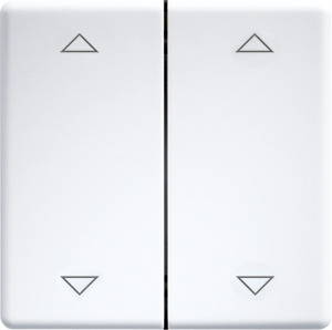 Doppelwippe lasergraviert für Funk taster 55x55mm rws mit 2 Pfeilen