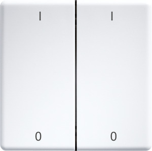 Doppelwippe lasergraviert für Funk taster 55x55mm rws mit Gravur I/O