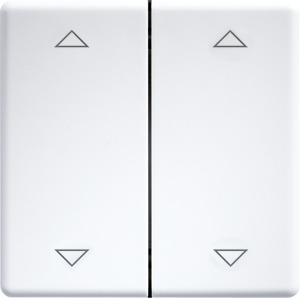 Doppelwippe lasergraviert für Funk taster 55x55mm rws glänzend mit 2 P