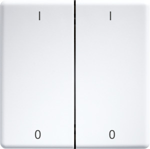 Doppelwippe lasergraviert für Funk taster 55x55mm rws glänzend mit Gra