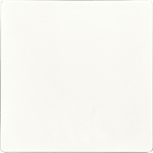 Funktaster polarweiß matt 55x55mm batterie- und leitungslos E-Design55 ohn
