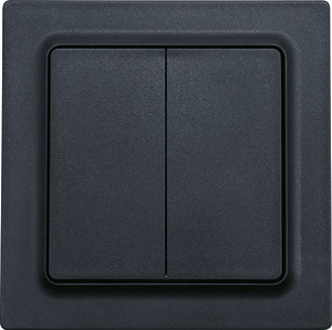 Wipptaster mit Doppelwippe anthrazit matt E-Design55