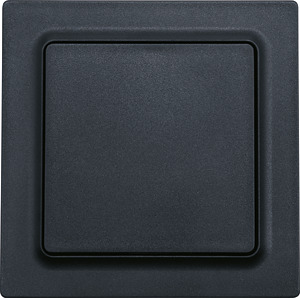 Wippschalter, anthrazit matt E-Design55
