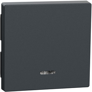 Wippe mit Kontrollfenster System M TPm anthrazit