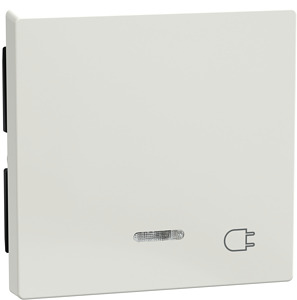 Wippe mit Kontrollfenster System M TPb polarws Aufd.Steckdose