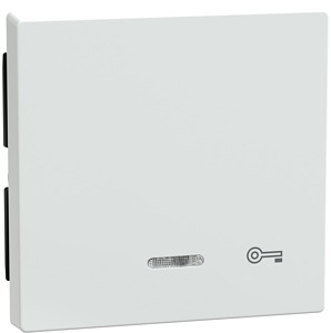 Wippe mit Kontrollfenster System M TPb aktivws Aufd.Schlüssel