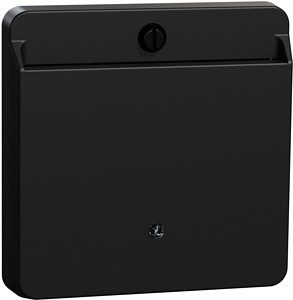 Card-Schalter mit Schriftfeld schwarz matt System M