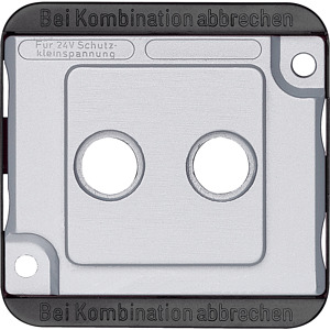 Zentralplate für Antennesteckdose mattsilber