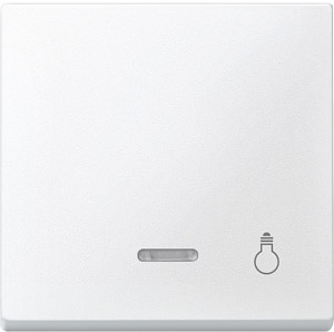 Wippe mit Kontrollfenster System M TPm polarweiss Aufdr.Licht