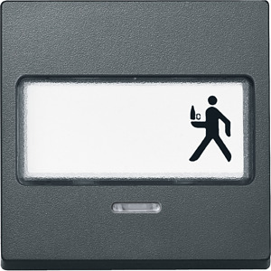 Wippe Wechsel SysM Schriftfd. Kontr.fenster anth.