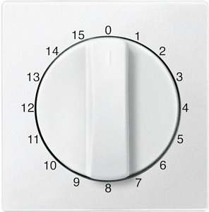 Zentralplatte Zeitschalter-Einsatz System M polarweiss 15min.