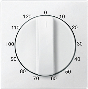 Zentralplatte Zeitschalter-Einsatz System M polarweiss 120min.