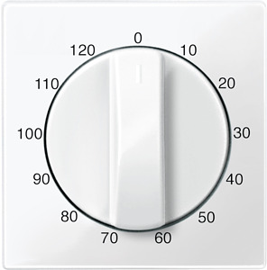 Zentralplatte Zeitschalter-Einsatz System M polarweiss glänz.120min.