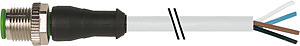 Stecker M12 ger. freies Leit.ende /PVC grau 20m