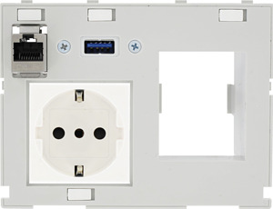 Modlink MSDD Kombieinsatz 2-fach It 1xRJ45+USB-A + Ausschnitt für 2 pol