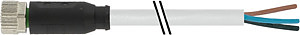 Buchse M8 ger. freies Leit.ende/PVC grau 20m