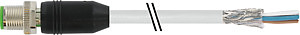 M12 Stecker gerade PUR-OB 4x0,34 geschirmt grau 15m