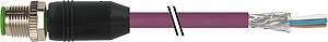 Stecker M12 ger. freies Leit.ende /PUR vio 0,3m
