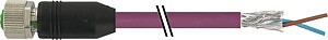 M12 Buchse gerade PUR-OB 1x2x0,64 geschirmt violett