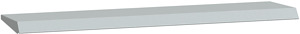 Regenschutzdach TxB:1000x300mm RAL7035 Stahlblech