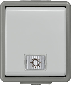 Taster m.Symbol Licht DELTA fläche AP IP44 mit Fenster