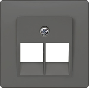 UAE-Abdeckplatte CAT.3 2-fach DELTA carbonmetallic