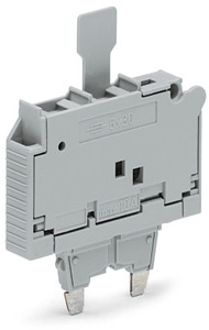 Sicherungsstecker mit Lasche für G- Sicherungseinsatz 5x30mm grau