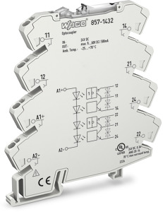 Optokopplermodul 2-fach Eingangsnennspannung DC 24V lichtgrau
