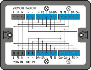 Verteilerbox 230V + DALI 2 Eingänge schwarz