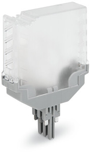 Leerstecker 6-polig Gehäusefarbe transparent
